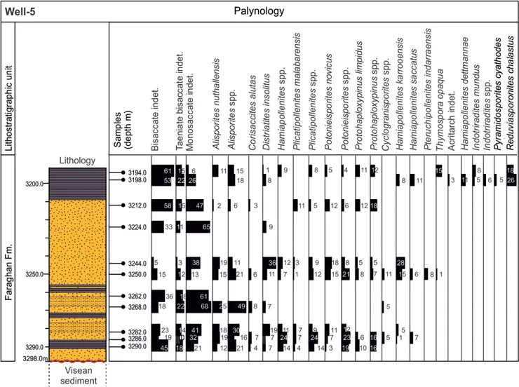 Fig. 10 - Well-5: stratigraphic log (for the legend see Fig. 16) and distribution chart of  palynomorphs.