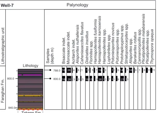 Fig. 12 - Well-7: stratigraphic log (for  the legend see Fig. 16) and  distribution chart of   palyno-morphs