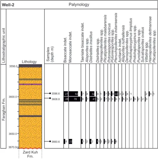 Fig. 7 - Well-2: stratigraphic log (for  the legend see Fig. 16) and  distribution chart of   palyno-morphs