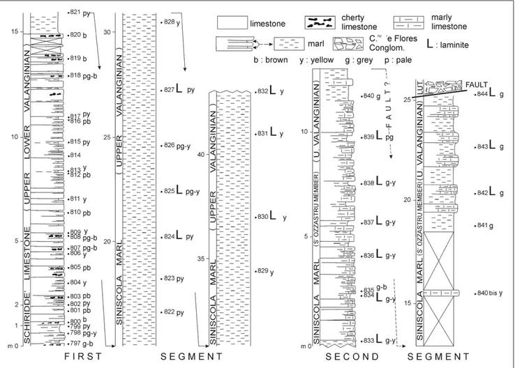 Fig. 3 - Stratigraphic log of  the Valanginian succession in the S’Ozzastru quarry. Numbers refer to the studied samples.