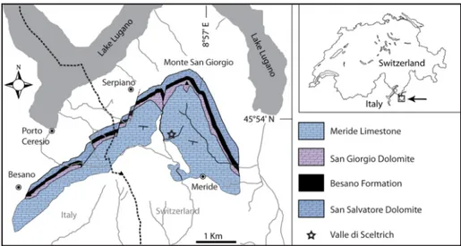 Fig. 1 - Map of  the Monte San Gior- Gior-gio area (Ticino, Southern  Switzerland), showing the  carbonate Anisian-Ladinian  sequence together with the  locality.
