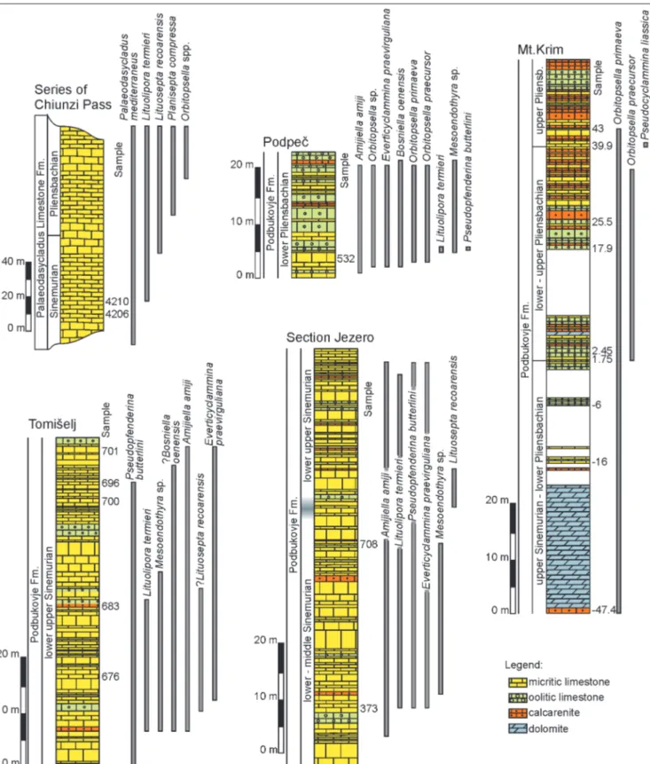Fig. 2 - Schematic presentation of  sampled sections and positions of  the samples. 