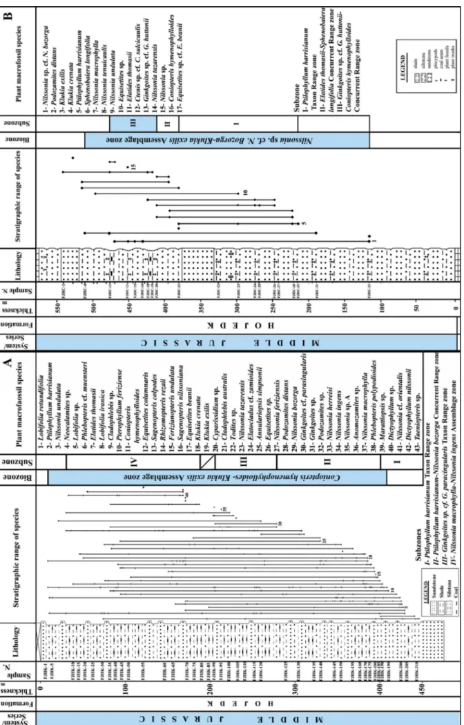 Fig. 2 - Comparative biostratigraphy charts of the Hojedk Formation at the site of the studied core number 210 in South Kouchekali, SW Tabas Block (A) and in Calshaneh, NW Tabas Block (B),  Central-East Iran (Vaez-Javadi 2015).