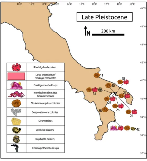 Fig. 5 - Late Pleistocene outcrops  of  build-ups and rhodalgal  carbonates along the  Adri-atic and Ionian coasts of  the  Italian Peninsula; the  num-bers  represents  the   identifi-ers of  the reports, the same  numbering is used in Tab