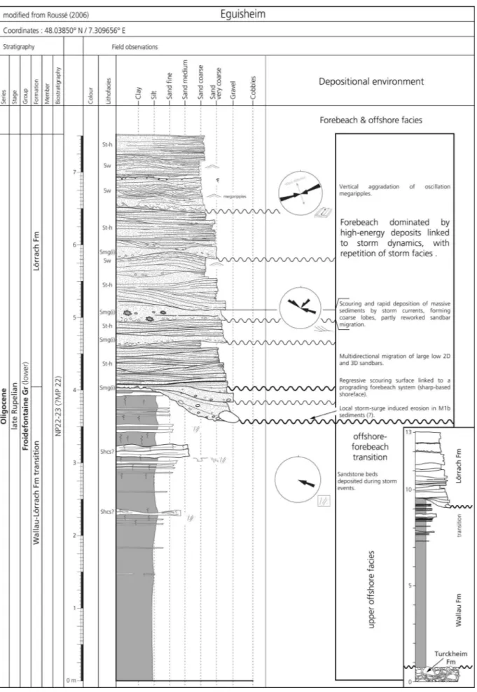 Fig. 18 - Reference log of  the Lörrach Fm near Eguisheim (France), representing the sandy forebeach facies in the upper section, and the  transition from the offshore Wallau Fm in the lower part