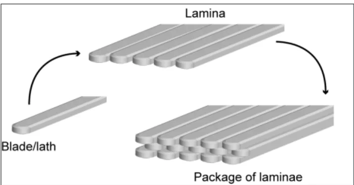 Fig.  4  -  Schematic  drawing  illustrating  the  structural  organization  of  the laminar fabric