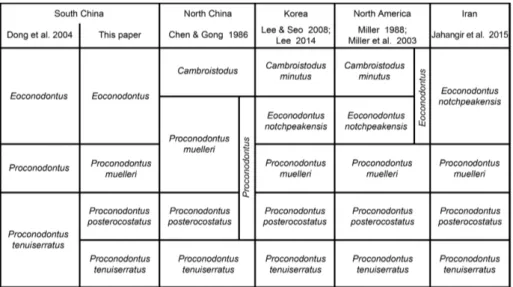 Fig. 3 - Conodont zonation of  the  Wa’ergang section and  cor-relation with North China,  Korea, North America and  Iran.