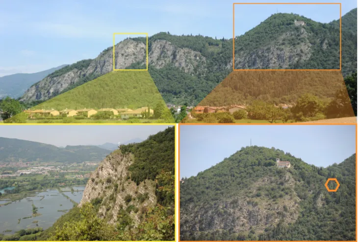 Fig. 10 - Rock walls of  well-stratiied Upper Pliensbachian Domaro Limestone in front of  Provaglio d’Iseo and the next Iseo peat-bog