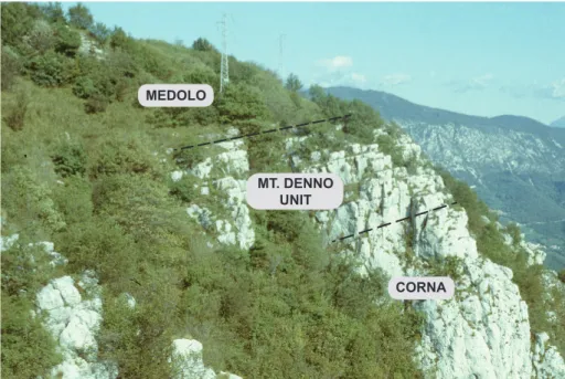 Fig. 7 - Well-stratiied limestones of   the Mt. Denno unit between  the platform limestones of   the Corna formation and the  basinal cherty limestones of   the Medolo Group typically  outcropping along the Mt