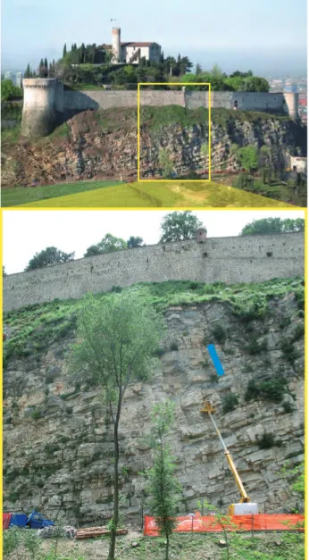 Fig.  8  -  Well-stratiied  rock  wall  of   Domaro  Limestone  of   the  middle-lower part of  Upper Pliensbachian occurring to the  north side of  the Cidneo Hill