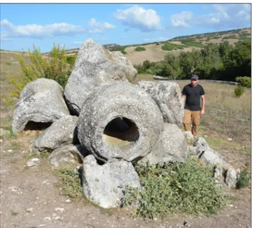 Fig. 3 - Concentric algal coats grown up around tree trunks, “petri- “petri-fied forest of Carrucana” (Martis).