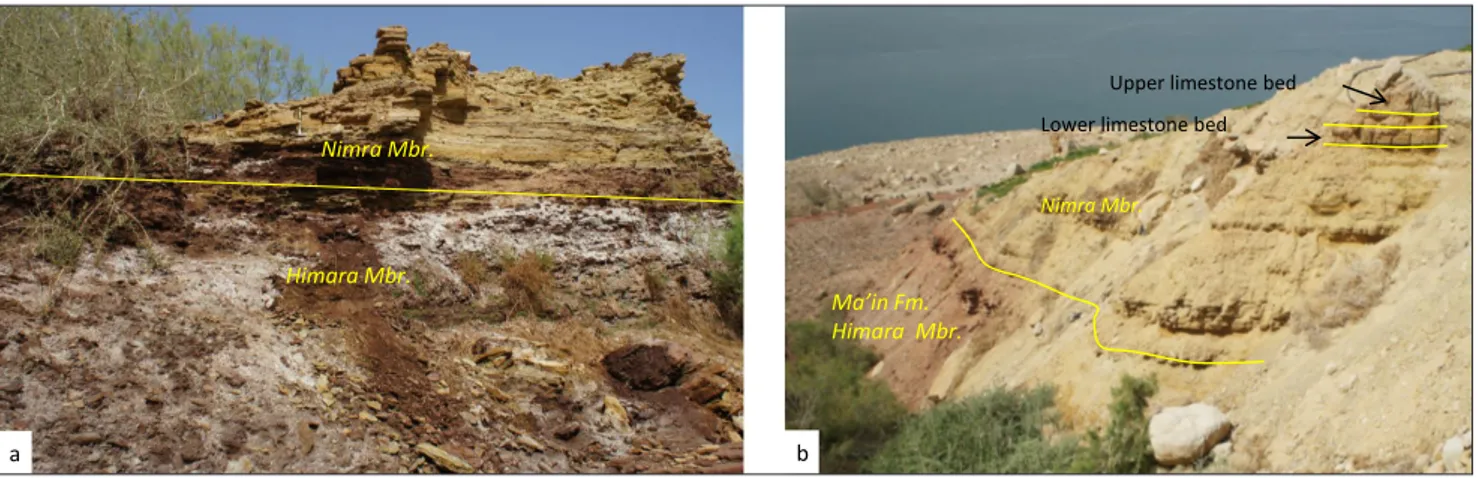 Fig. 6 - Dyke Plateau cliff. a) Gradational boundary (solid line) between the red-green, mottled Himara Member and the overlying yellow, green  Nimra Member