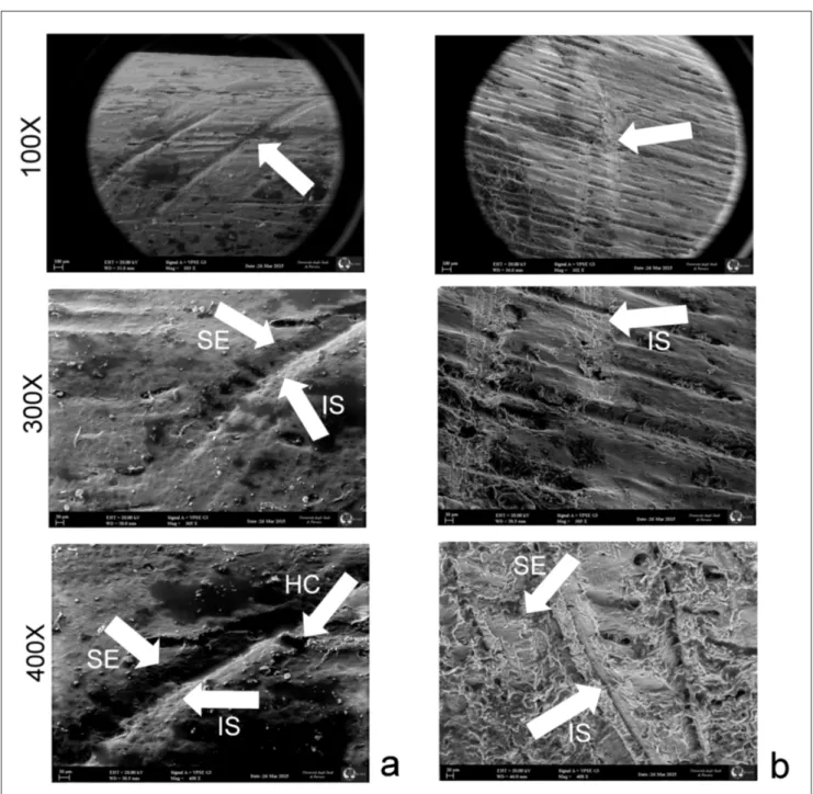 Fig. 6 - SEM images of  cut-marks made with different raw material; a: cut mark made with vein quartz; b: cut mark made with quartzite