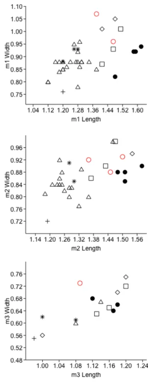 Tab. 1 - Measurements (in mm) of cf. Lartetium sp. from FdF2013.
