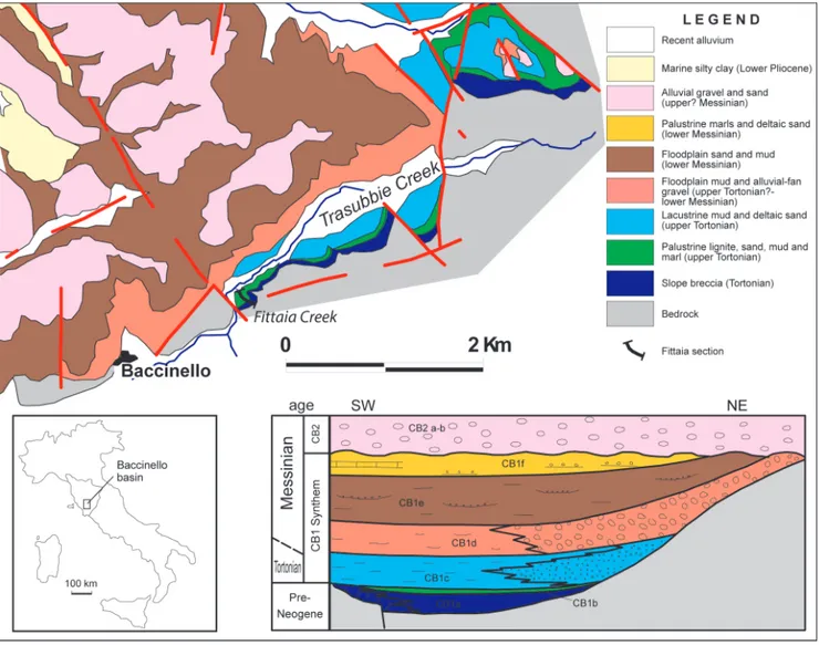 Fig. 1 - Location map with a simplified geologic map of  the southern portion of  the Baccinello-Cinigiano Basin (BCB) and a stratigraphic  scheme of  the BCB succession (modified from Rook et al