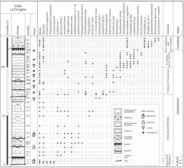 Fig. 4 - Colle La Cicogna stratigraphic section: lithology, biozones and  range chart of  the most significant benthic foraminifers, ostracoda and  mollusc remains (modified after Chiocchini et al