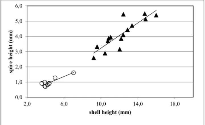 Fig. 13 - Relationship between spire height and shell height (species  of   Pliconacca); solid squares: P