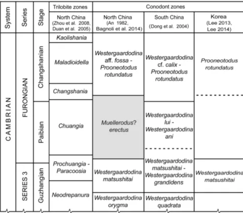 Fig. 5 - Correlation of  Furongian  (part) conodont zones in  North China, South China  and Korea with trilobites  biozones in North China.