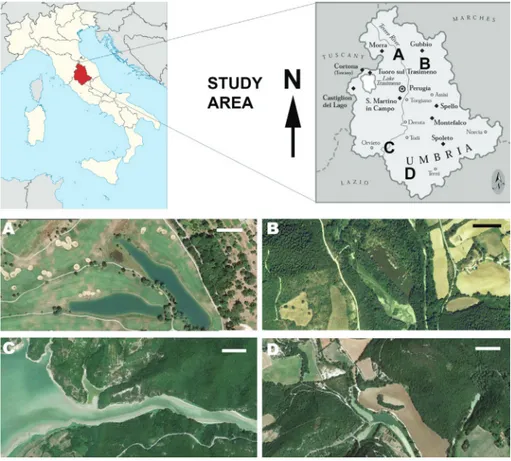 Fig. 1 - Study area with localization  of   Anodonta sites. a)  an-tognolla lakes. b) chiascio  river