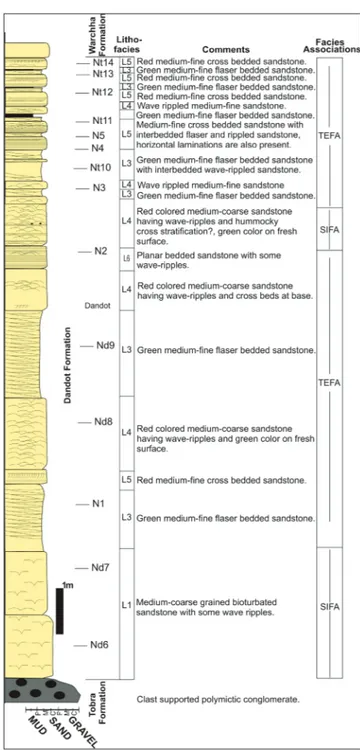 Fig. 5 - The distribution of  lithofacies and facies associations of   the Dandot Formation at the Choa-Khewra road section,  eastern Salt Range