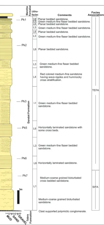 Fig. 7 - The distribution of  lithofacies and facies associations of   the Dandot Formation at the Nilawahan Gorge section