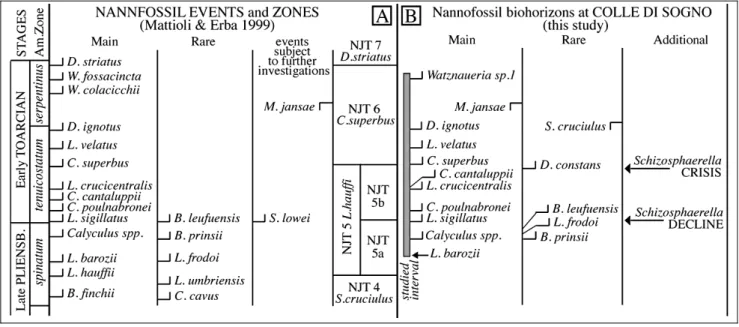 Fig. 5 - Comparison between calcareous nannofossil events detected byMattioli &amp; Erba (1999) (A) and the biohorizons recognized at Colle di Sogno (B).