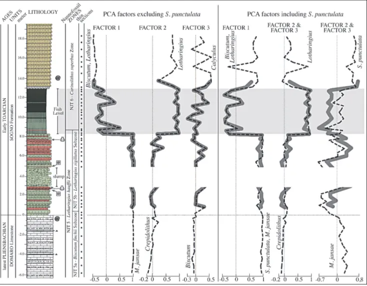Fig. 9 - Stratigraphic trends of PCA scores plotted against lithostratigraphyand calcareous nannofossil biozones