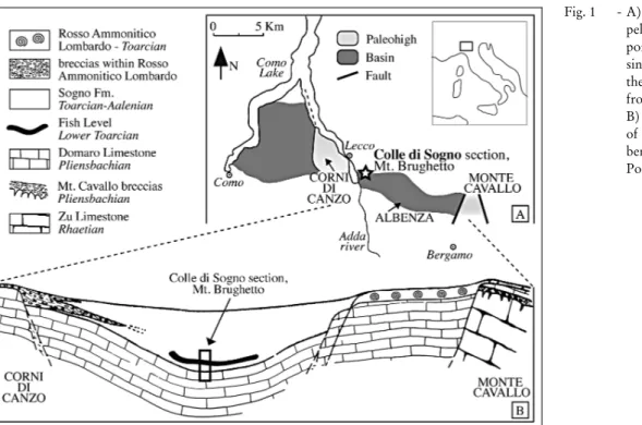 Fig. 1 - A) Distribution of basins and pelagic highs in the central portion of the  LombardyBa-sin, Southern Alps, during the EarlyJurassic (modified from Mattioli &amp; Erba 1999);