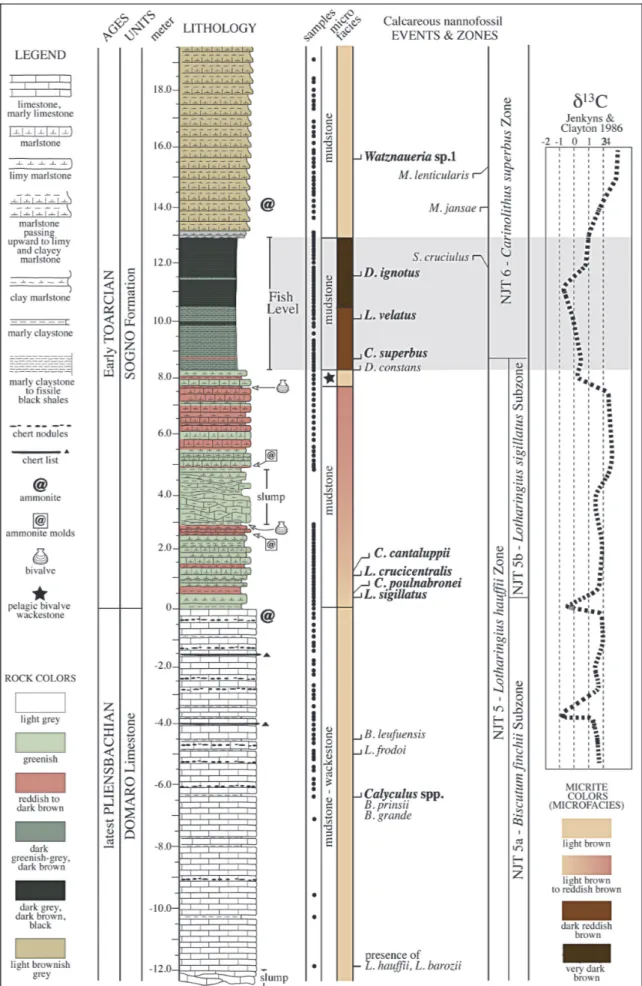 Fig. 3 - Lithostratigraphyand calcareous nannofossil biostratigraphyof the Colle di Sogno section