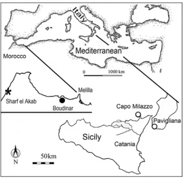 Fig. 1 - Location of outcrops from which specimens of Myriapora sciutoi n. sp. have been recorded in the Mediterranean area.