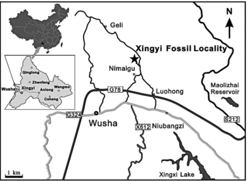 Fig. 1 - Location map of the fossil locality at Nimaigu village, Wushatown, Xinyi City, Qianxinan Buyei and Miao Autonomous Prefecture, Guizhou Province.