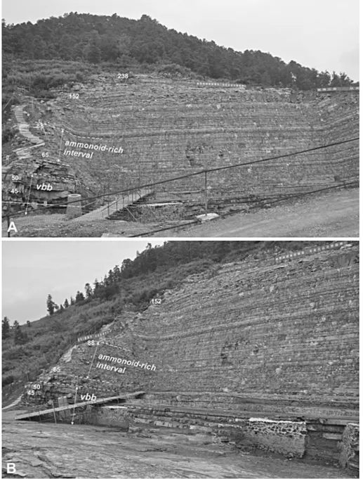 Fig. 2 - View of the fossil locality, ta- ta-ken in 2013. A) General view of the quarry showing the complete exposure of the  stu-died succession, B) view of the lower and middle part of the section