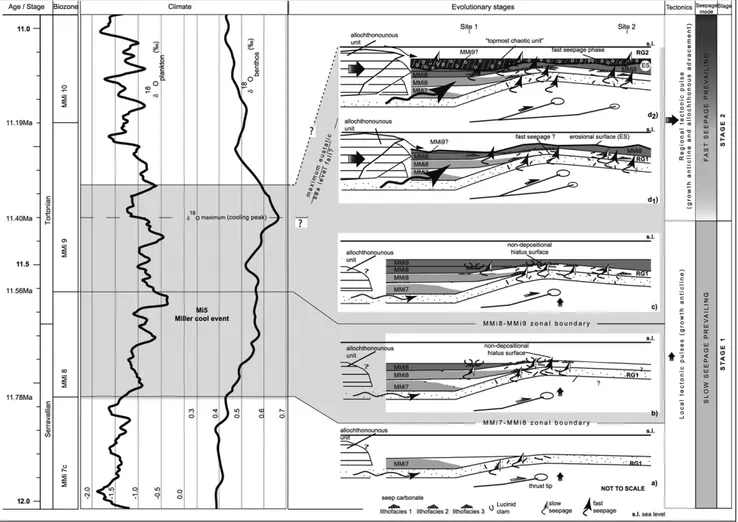 Fig. 9 - The two-stage evolution model of fluid-seepage and associated carbonate deposits in the Salsomaggiore Ridge during the late Serra- Serra-vallian (a-b) and early Tortonian (c, d 1 , d 2 ), related to both tectonics (on the right) and climate change