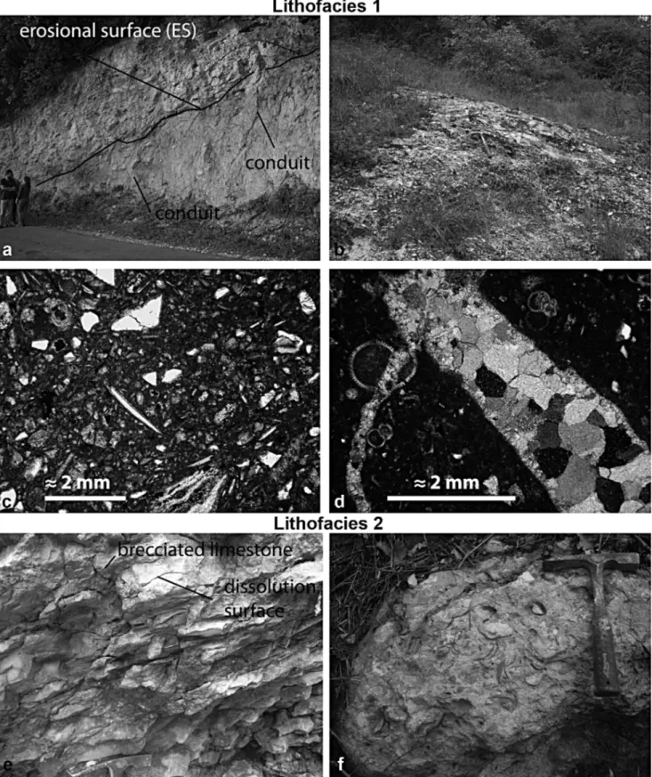 Fig. 4A - Lithofacies of seep-carbonates of the SR. Lithofacies 1- a) Marly-arenaceous breccias and conglomerate beds cemented by seep- seep-carbonates; locally, feed cement-filled conduits are cemented and pass through different stratigraphic units