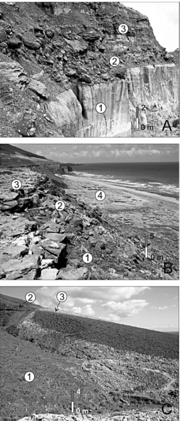 Fig. 5 - Examples of outcrops where the fossil crustaceans have been collected: A) Barranco Seco (NE Gran Canaria): 1  phonolite nonwelded ignimbrite; 2  -reddish conglomerate with fossils; 3 - foreshore grey fine sand (2 and 3 correspond to the middle mem