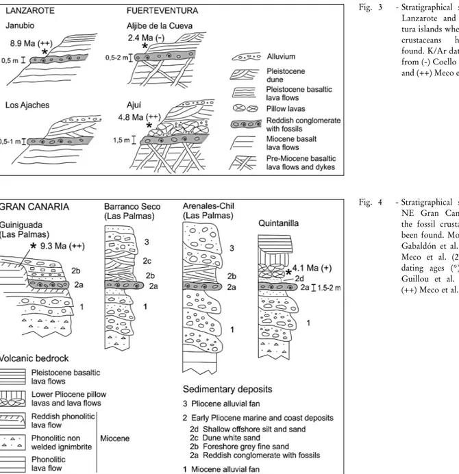 Fig. 3 - Stratigraphicalsections on Lanzarote and  Fuerteven-tura islands where the fossil crustaceans have been found