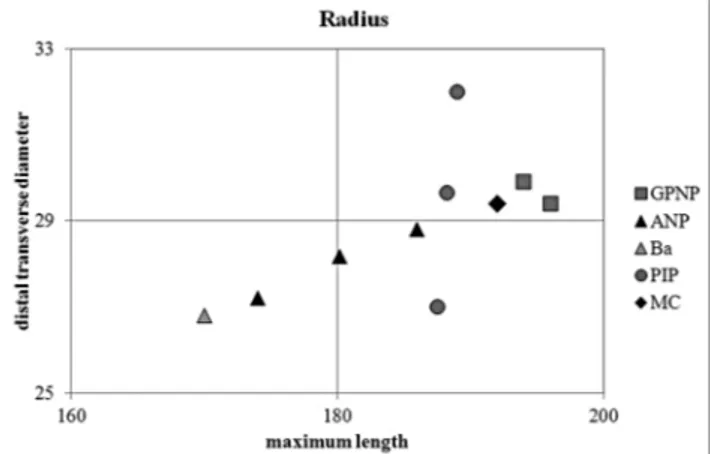 Fig. 8 - Scattergram of distal transverse diameter versus maximum length of radius (mm) of the specimen from Grotta Mora Cavorso compared with some Late Pleistocene, early  Ho-locene and living chamois