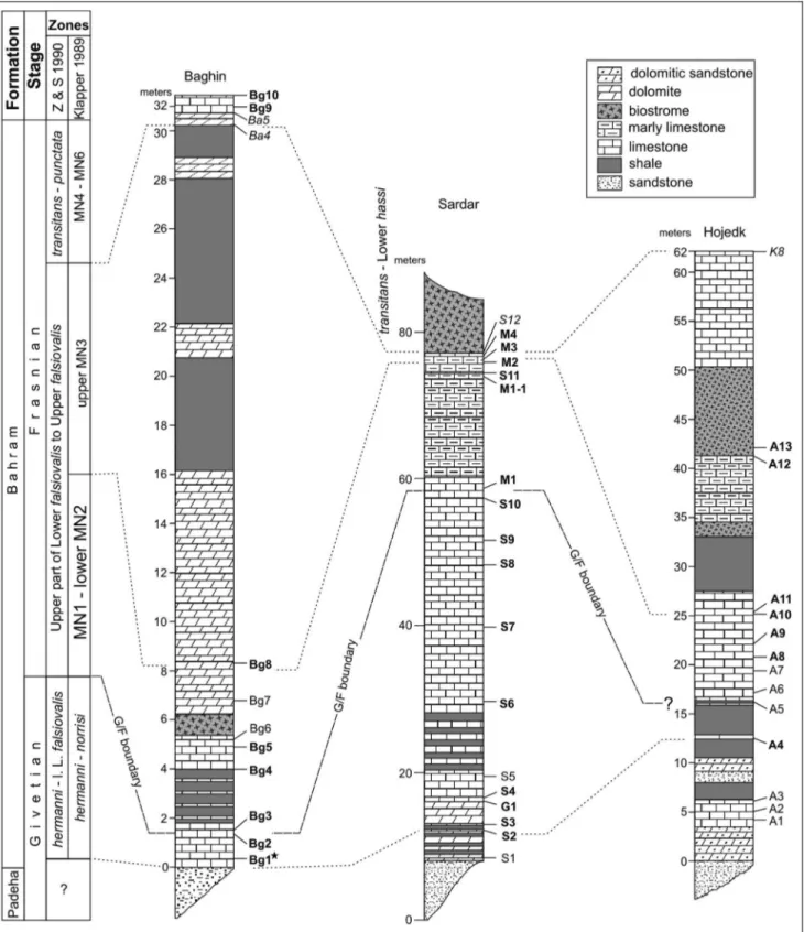 Fig. 3 - Lithostratigraphic columns with localization of the investigated samples and correlation of the G-F boundary studied successions in the Kerman Province, SE Iran