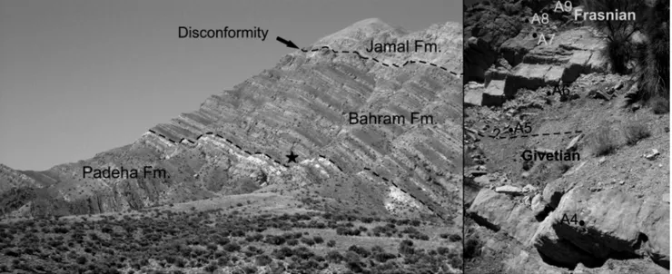 Fig. 4 - General view of the Hojedk section with close up of G-F boundary. Asterisk shows the sampled interval.