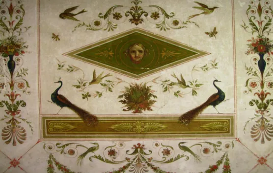 Figura 13 - Particolare del soffitto del primo gabinetto (foto F. Eusebio).