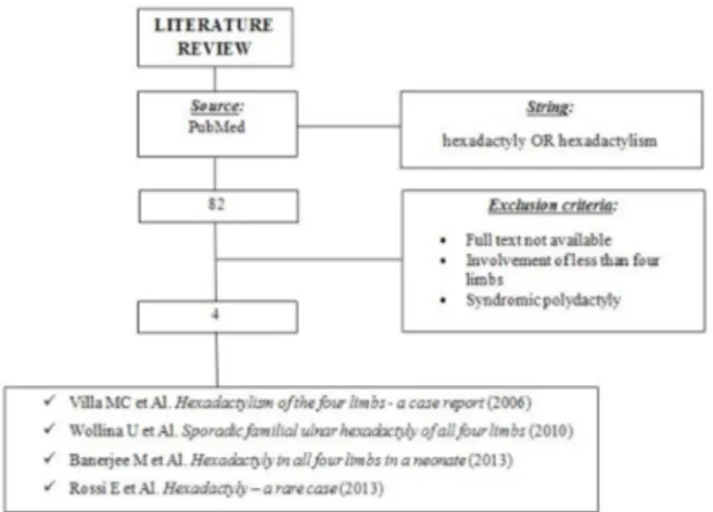 Figure 5 - Literature review process