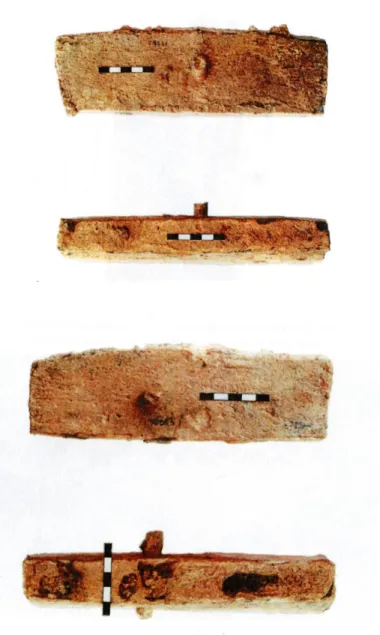 Fig.  7.  Pyrgi,  barrette  di  piombo  dall’altare  λ  del  santuario  etrusco  (da  D RAGO  2015, p