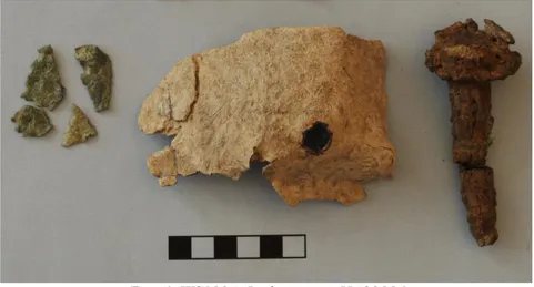 Fig. 6. WS1924. La laminetta HA32896   con chiodo di ferro e frammenti di grattugia bronzea