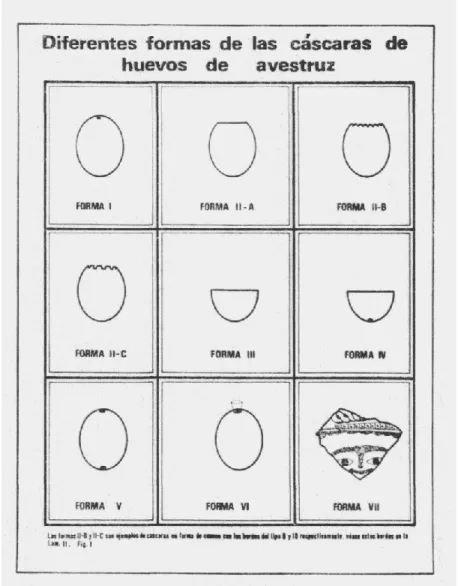 1953. Fig. 1. Tipologia delle uova di struzzo impiegate come contenitori  e 