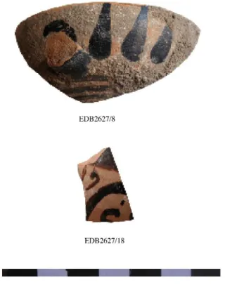 Fig. 13. Ceramica ad ornati neri. ED B 2627/8 e ED B 2627/18. 
