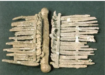 Fig. 2. Casale Marittimo, affibbiaglio a pettine in argento da  tomba A (da Principi guerrieri 1999, fig