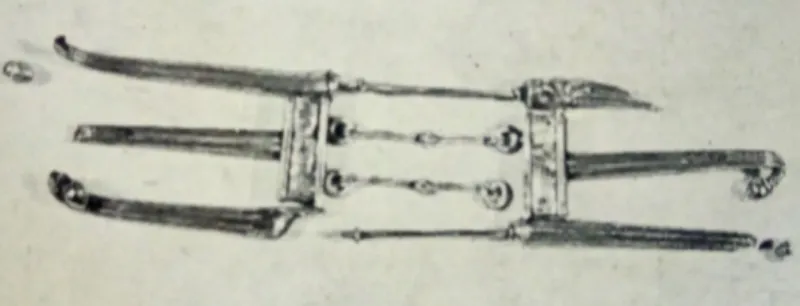 Fig. 4. Veio, affibbiaglio a spranghe in argento dorato da tom- tom-ba 5 (da B oitani  1983, tav