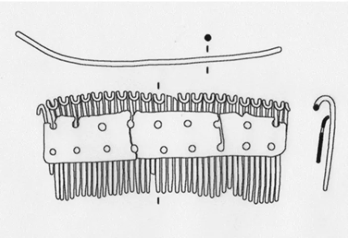 Fig. 10. Gricignano di Aversa, affibbiaglio a pettine in argento  da tomba 8 (da g uzzo  2014, p