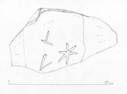 Fig. 1a. Frammento di ceppo d’àncora dalla Civita di Tarquinia  (rielaborazione grafica di F