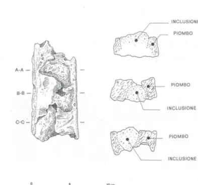 Fig. 5. Settore meridionale del santuario di Pyrgi: frammento di ceppo in  piombo rinvenuto presso il sacello α (disegno di Sergio Barberini).